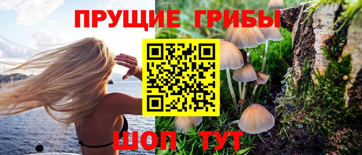 Галлюциногенные грибы мицелий Димитровград