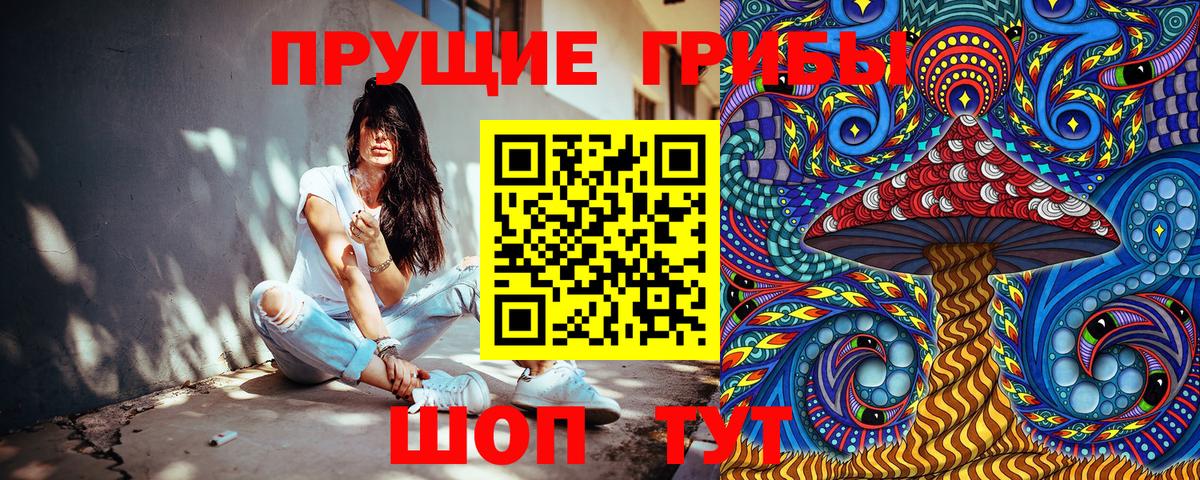 Псилоцибиновые грибы GOLDEN TEACHER  Галлюциногенные грибы ЛСД  Димитровград  Вход с VPN 